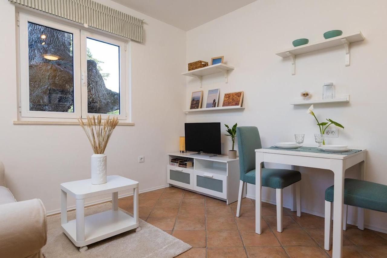 Apartment Judita Dubrovnik Dış mekan fotoğraf